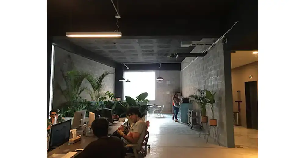 Mamut Publicidad SA de CV