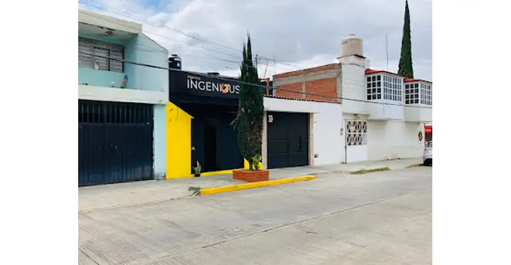 Agencia Ingenious