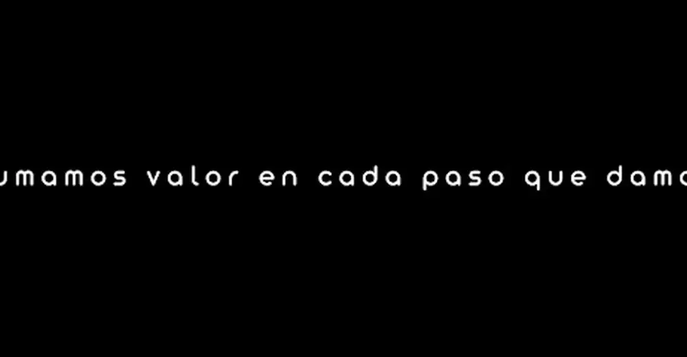 Traffic Agencia Digital
