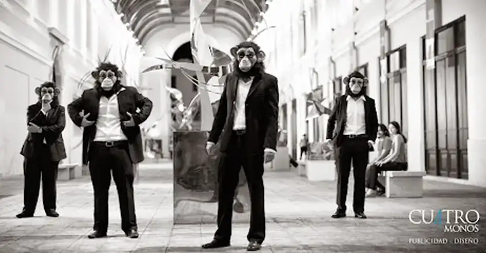 Cuatro Monos