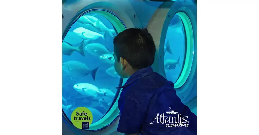 Add Marketing Mex
