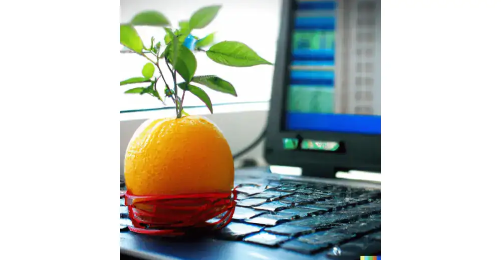 Agencia Citrus