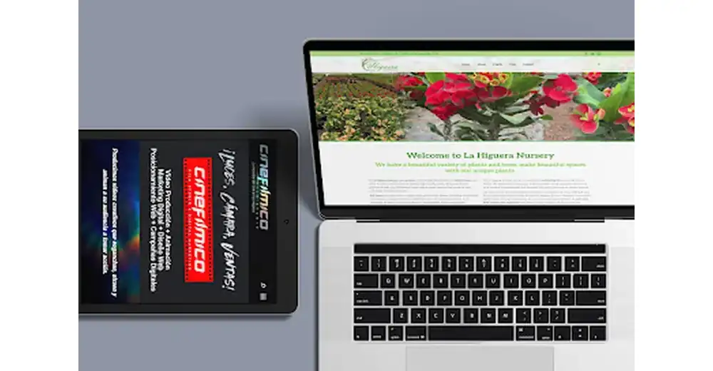 Páginas Web en Reynosa