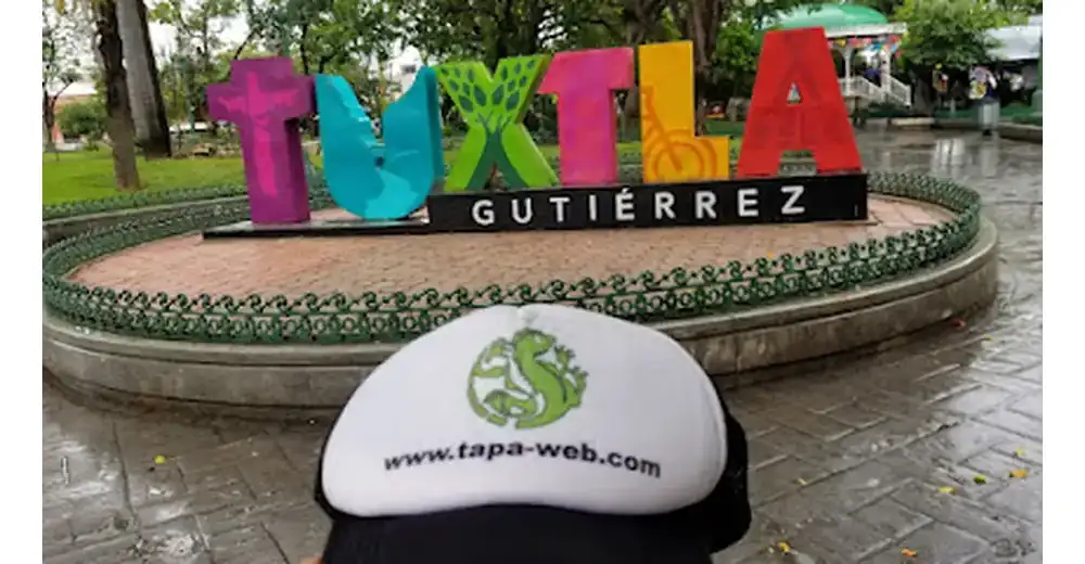 tapaweb