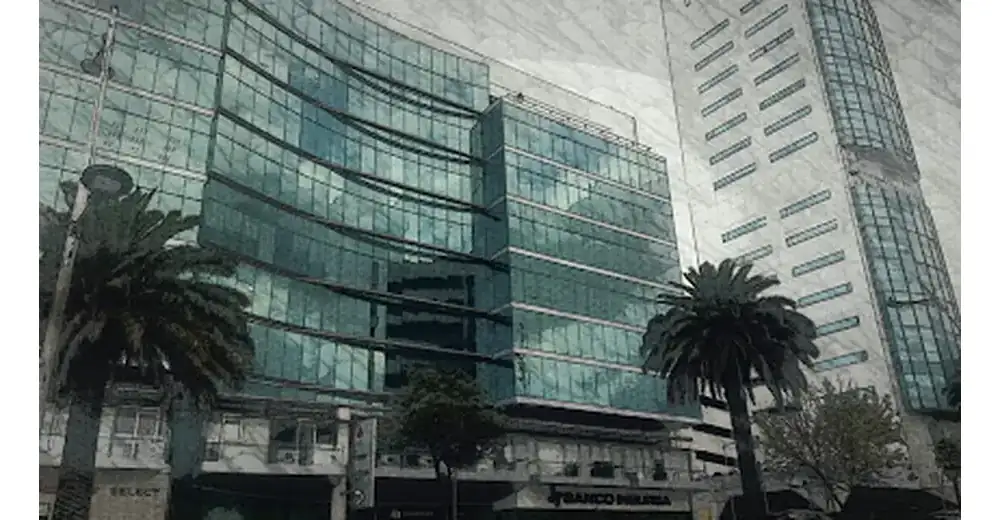 Moller Mercadotecnia